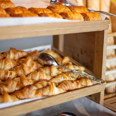 فندق إيبيس ستايلز سنتر كونفلوينس ليون